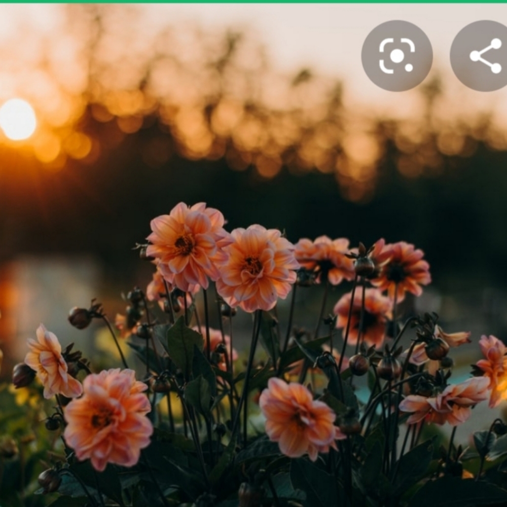 Meet your Posher, Abeer